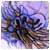 Immissite's Avatar