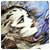 sninquige's Avatar