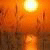Fliecectevimb's Avatar
