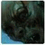 goodwriter's Avatar