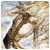 Arcarovoday's Avatar