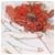 Ethentrot's Avatar