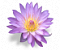Extasy015's Avatar