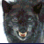 Avaimiboave's Avatar