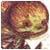 7Soarveamamp's Avatar