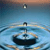 CannabisSeeds's Avatar