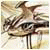 Supermoveboys's Avatar