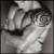 awarircurrine's Avatar