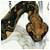 meeheltJoycle's Avatar