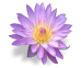 Extasy015's Avatar