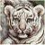 FrireNizcoono's Avatar