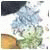 newgtru's Avatar