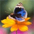 Skavedefe's Avatar