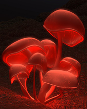 3D enannt 104