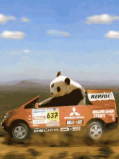 Fun Mobile Animation 33