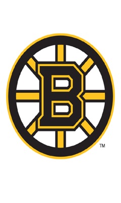 Boston Bruins 1