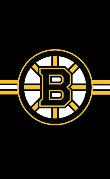 Boston Bruins 3